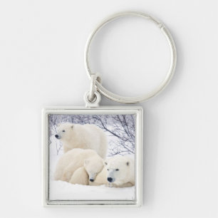 Polar Bears female and Two cubs Key Ring