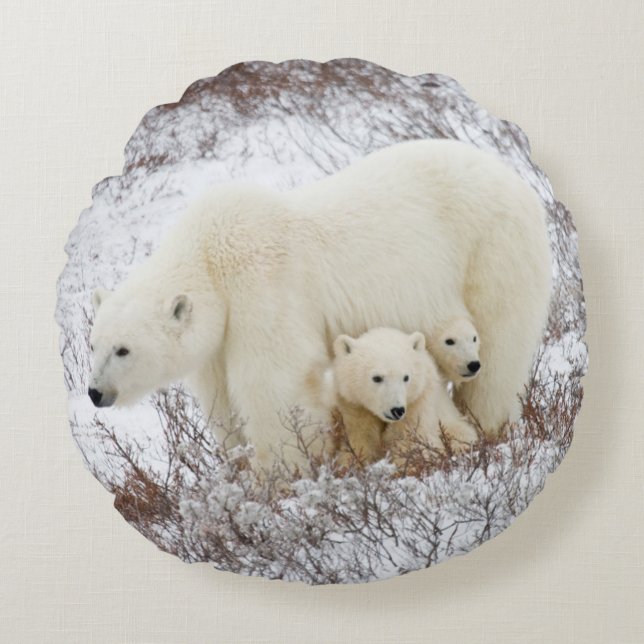 Polar Bears female and Two cubs Round Cushion (Front)