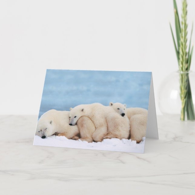 Polar Bears Greeting Card (Front)