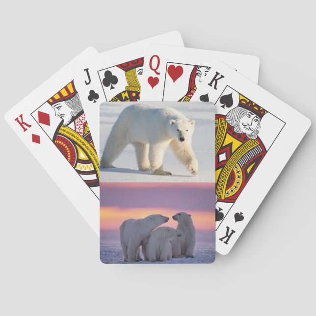 Polar Bears on a Deck of Playing Cards (Back)
