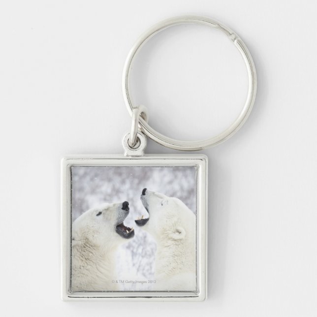 Polar Bears playing in the snow Key Ring (Front)