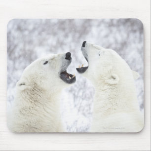 Polar Bears playing in the snow. Mouse Pad