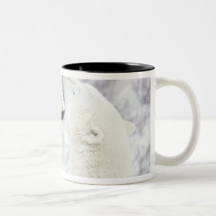 Polar Bears playing in the snow Two-Tone Coffee Mug
