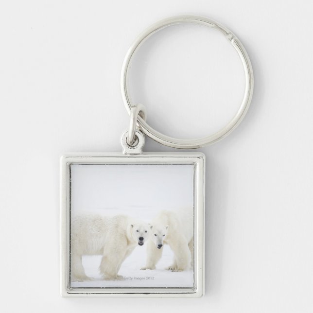 Polar Bears standing on snow after playing 2 Key Ring (Front)