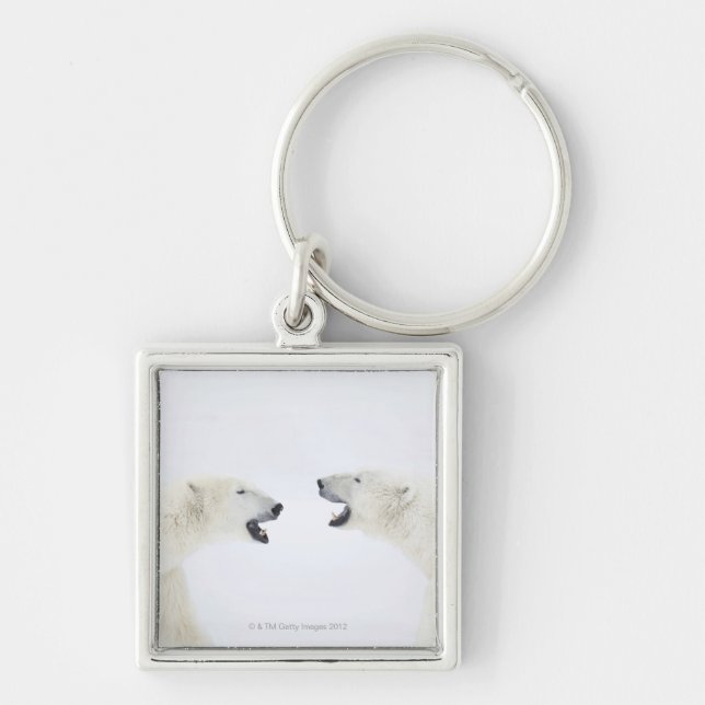 Polar Bears standing on snow after playing Key Ring (Front)