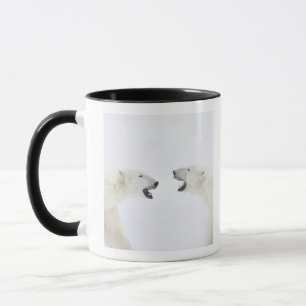 Polar Bears standing on snow after playing Mug