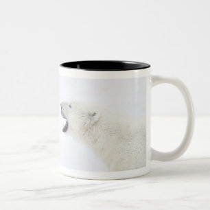 Polar Bears standing on snow after playing Two-Tone Coffee Mug