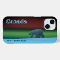 Polar Lights Polar Bear