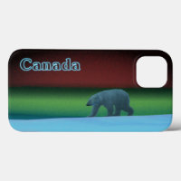 Polar Lights Polar Bear