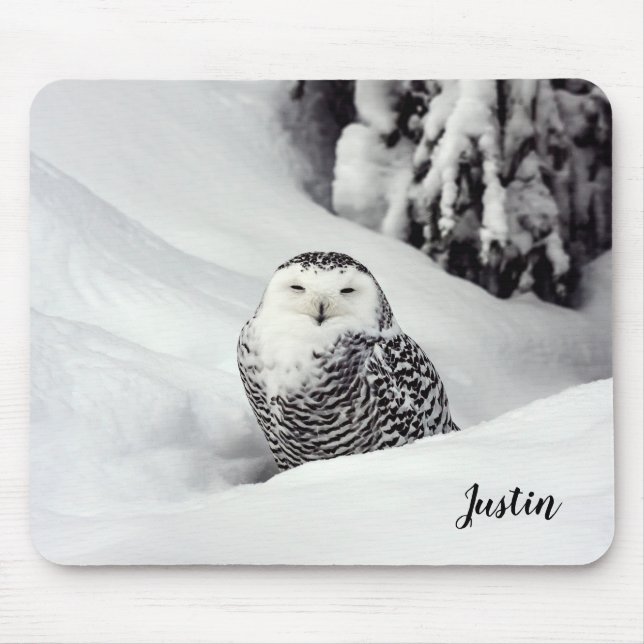 Polar Owl Themed Mouse Pad (Front)