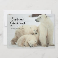 Polar She-bear With Cubs