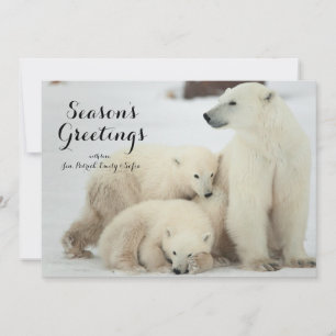 Polar She-bear With Cubs Holiday Card