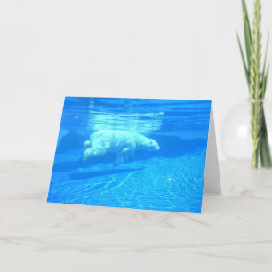 Polar swim card