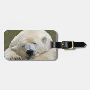 PolarBear20150501 Luggage Tag