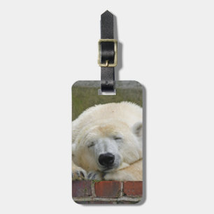 PolarBear20150501 Luggage Tag
