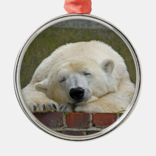 PolarBear20150501 Metal Ornament