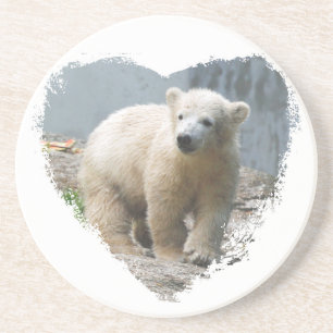 Polarbear 018 coaster