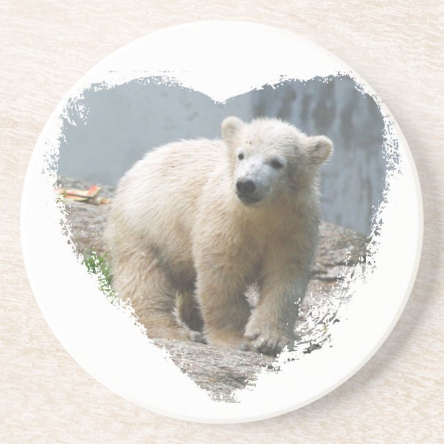 Polarbear 018 coaster (Front)