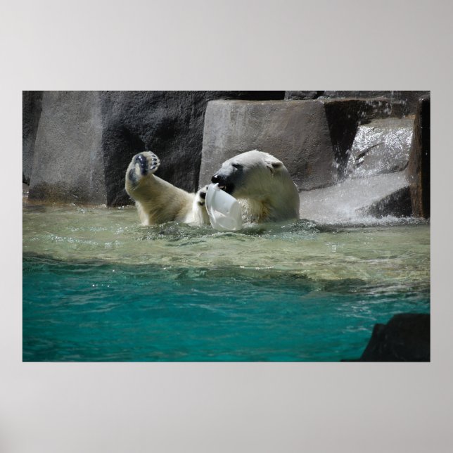 Polars Bears Poster (Front)