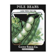 Pole Beans Vintage Seed Packet Lima Garden Veggies