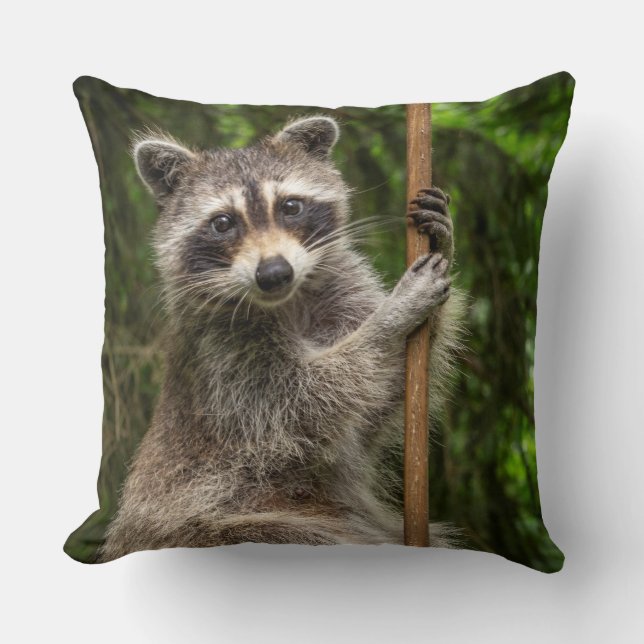 Pole Dancing Racoon Cushion (Front)