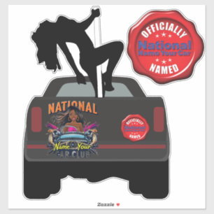 Pole in the truck bed Decal version 1
