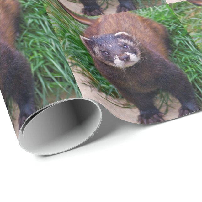 Polecat Wrapping Paper (Roll Corner)