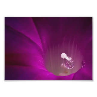 Polen Glitter Photo Print