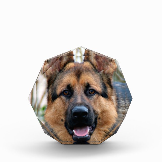 Police Dog Photo Block (Front)