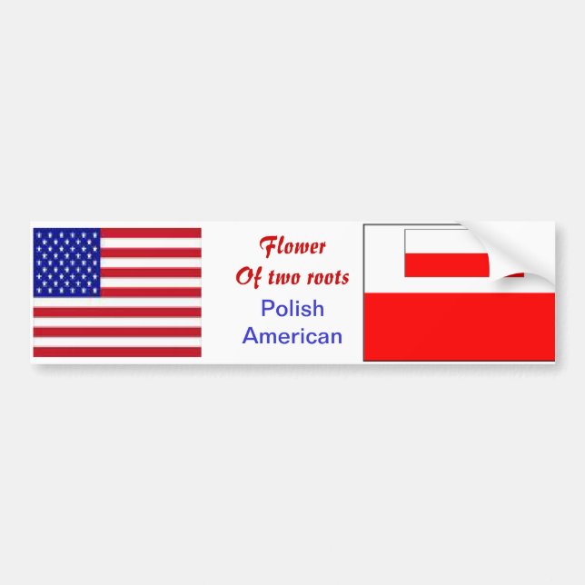 Polish-american bumper stickers (Front)