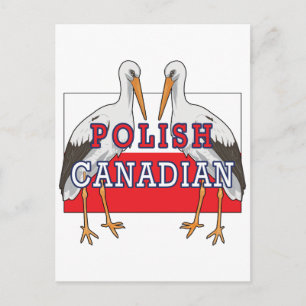 Polish Canadian Stork Postcard