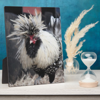 Polish Crested Rooster Plaque