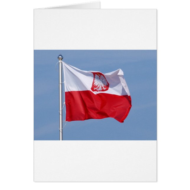 POLISH FLAG (Front)