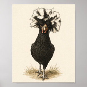 Polish Hen Chicken Art Print, Vintage Farmhouse Ki Poster
