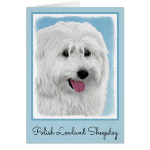 Polish Lowland Sheepdog Painting - Dog Art