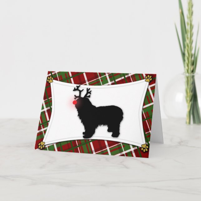 Polish Lowland Sheepdog Reindeer Christmas Card (Front)