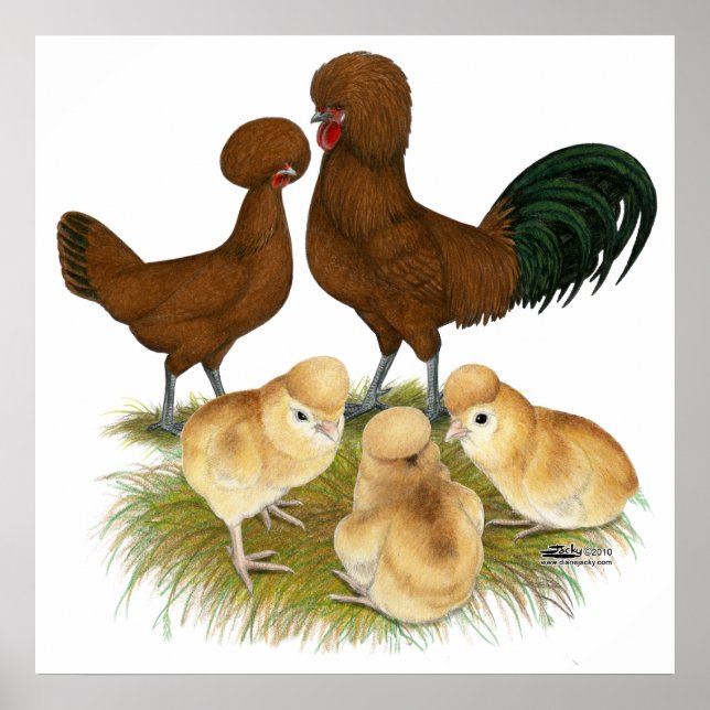 Polish:  Red Family Poster (Front)