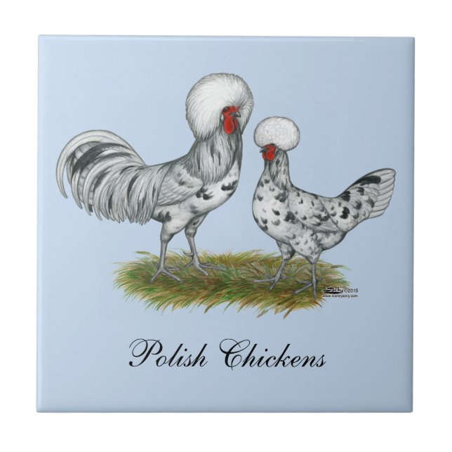 Polish Splash Chickens Ceramic Tile (Front)