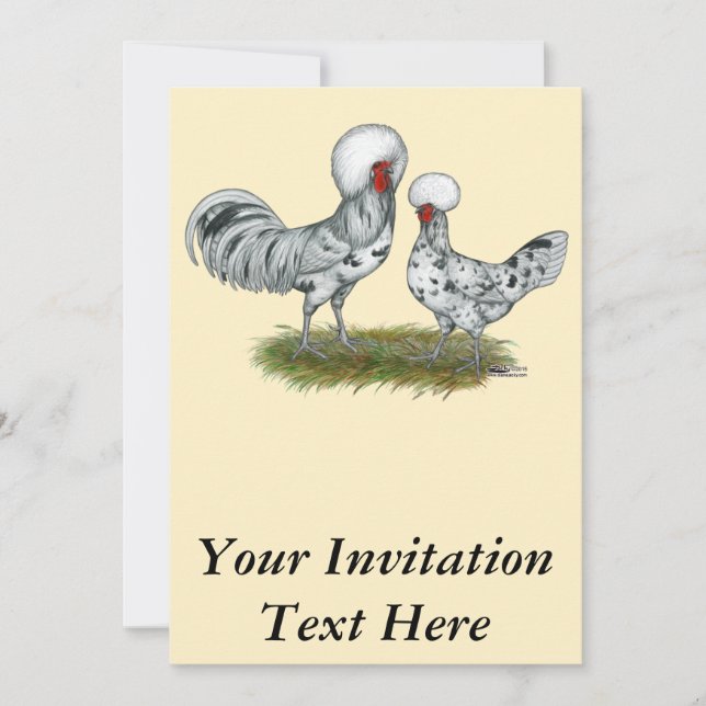 Polish Splash Chickens Invitation (Front)