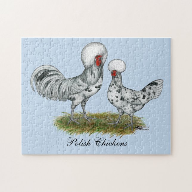 Polish Splash Chickens Jigsaw Puzzle (Horizontal)