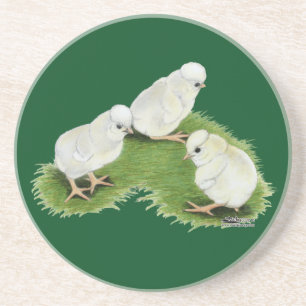 Polish Splash Chicks Coaster