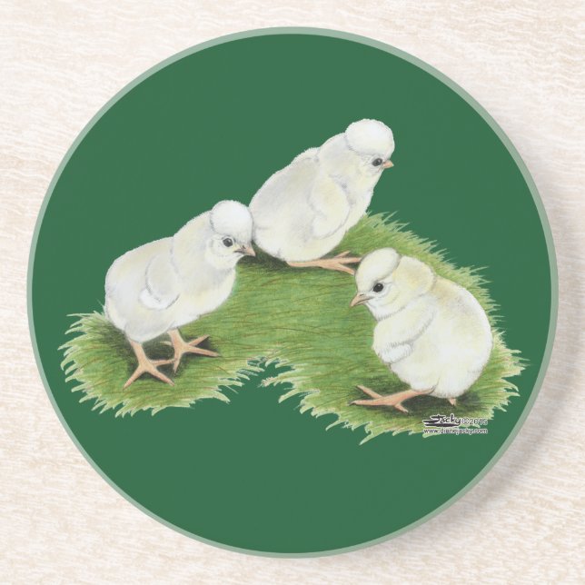 Polish Splash Chicks Coaster (Front)