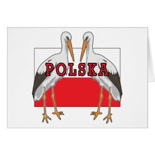 Polish White Stork Polska