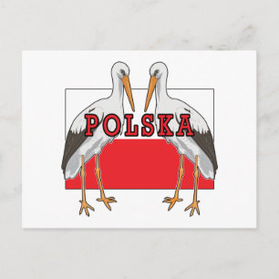 Polish White Stork Polska Postcard