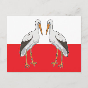 Polish White Stork Postcard