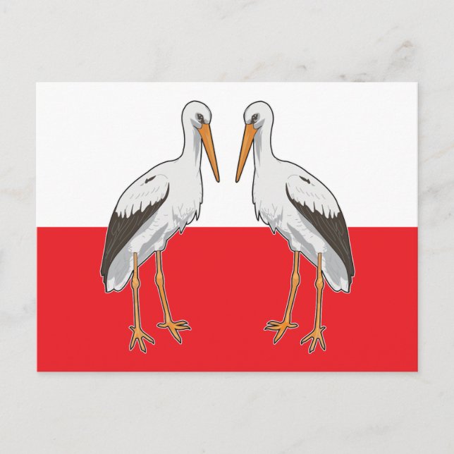 Polish White Stork Postcard (Front)