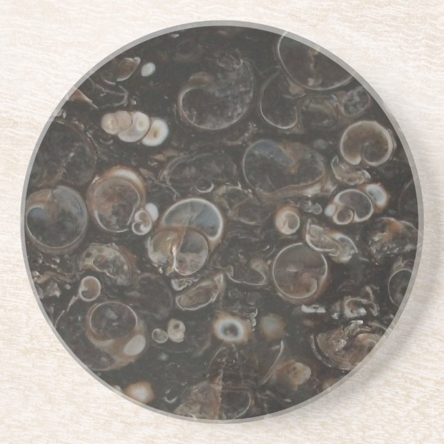 Polished Rock Print (Turritella Agate) Coaster (Front)