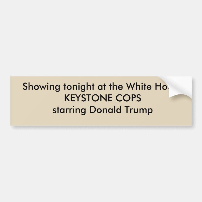 Political anti Trump bumper sticker (Front)
