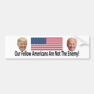 Political Bumper Sticker