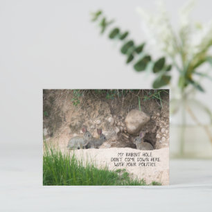 Political Rabbit Hole Bunny Photo Politics Humour Postcard